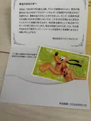 ���ʲ��� 