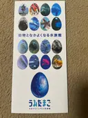 ���ʲ��� 