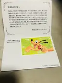 ���ʲ��� 