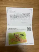 ���ʲ��� 