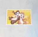���ʲ��� 