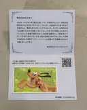 ���ʲ��� 