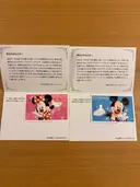���ʲ��� 